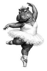 Fototapeta premium Funny Hippo Ballerina Dancing in a Tutu and Pointe Shoes, Retro Halftone Dotted Vector Illustration