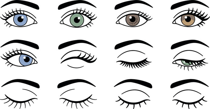 Female Eye Expression Icon Set Vector Featuring Different Iris Colors Opening Closing Winking and Looking Aside with Thick Eyebrows and Long Eyelashes