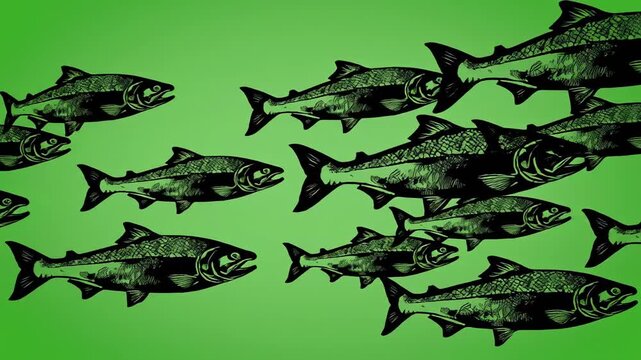 A school of dark green fish with lighter green scales swim right on a gradient green background