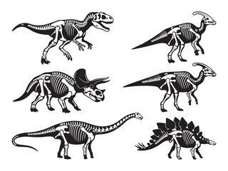 Collection of prehistoric dinosaur skeleton silhouettes on white background © MD
