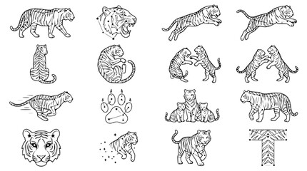 Tiger illustration set: Various poses and elements of wild cats © Zilong