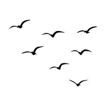 Flock of birds flying silhouettes, hand drawn doodle, vector illustration