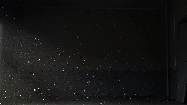 Floating dust drifting through a dark empty room, creating a quiet sense of solitude with soft cinematic light and atmospheric motion, created with Generative AI.