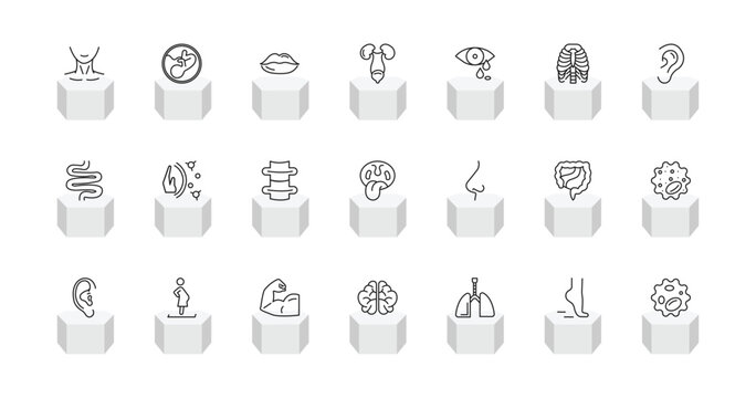 outline human body parts icons set - human neck, human fetus, excretory system, white blood cell. editable vector for web and mobile ui