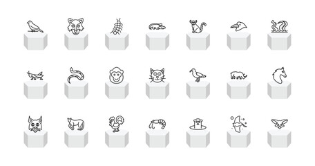 outline animals icons set - canary, wolf, crocodile, fennec fox. editable vector for web and mobile ui © IconArt
