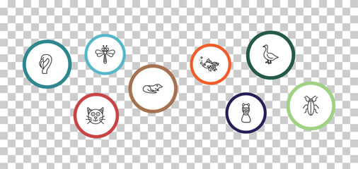 outline animals icons set - dragonflay, goose, flamingo, cat. editable vector for web and mobile ui © IconArt
