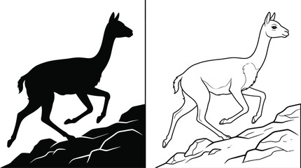 Guanaco Animal Running Icon and Outline Vector Illustration on Rocks for Wildlife and Nature Themes © Silpi