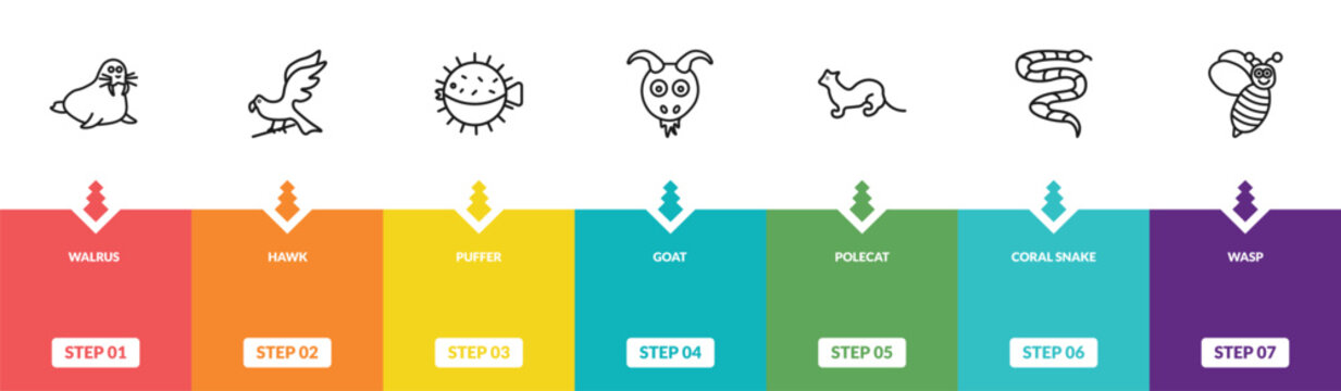 outline animals icons set - walrus, hawk, puffer, wasp. editable vector for web and mobile ui