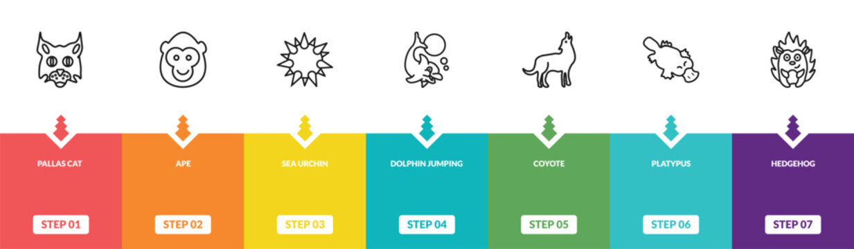 outline animals icons set - pallas cat, ape, sea urchin, hedgehog. editable vector for web and mobile ui