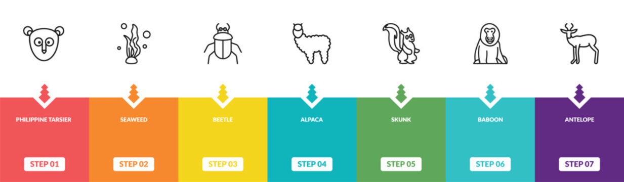 outline animals icons set - philippine tarsier, seaweed, beetle, antelope. editable vector for web and mobile ui