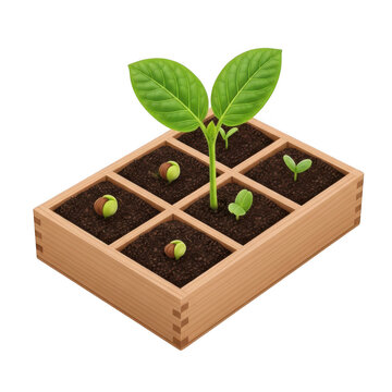 Wooden seedling tray with six compartments containing dark soil, small green sprouts, and germinating seeds against a solid black background