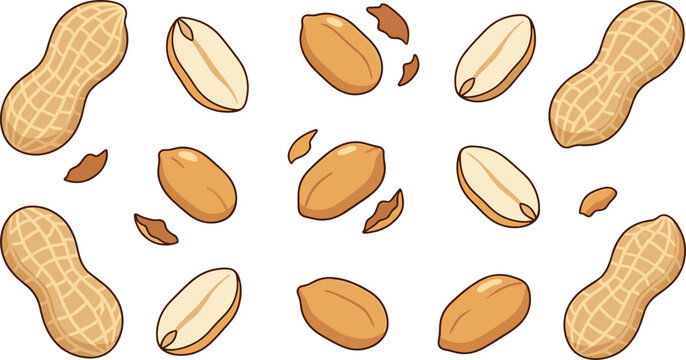 Peanut Shell and Kernel Collection with Whole Peanuts, Shelled Nuts, Natural Snack Ingredients, and Organic Food Vector Illustration Set