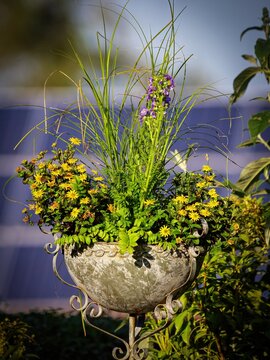 Flowers in Antique Bowl