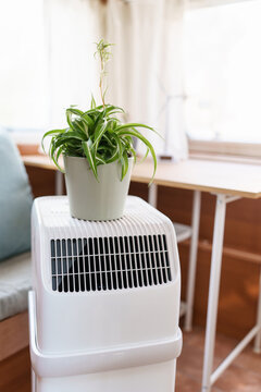 Indoor potted plant on a mobile AC unit illustrating relief from scorching summer heat