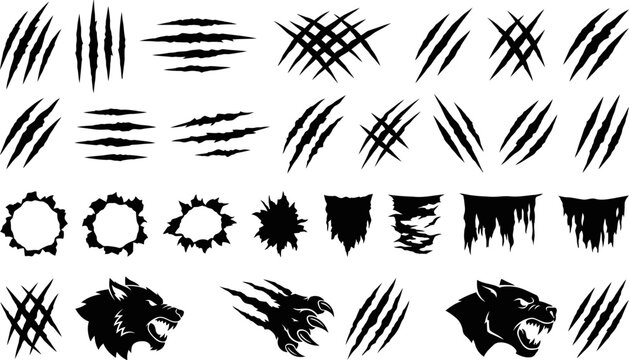 Collection of various animal claw marks and wild animal heads on white background