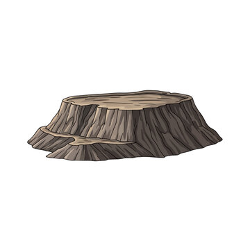 A felled tree stump on the ground