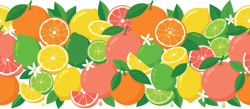 Seamless Citrus Fruit Horizontal Border Vector Pattern with Whole and Sliced Oranges Lemons Limes and Grapefruits for Summer Textile and Food Packaging Designs