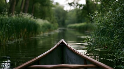 Fototapeta premium A swift canoe gracefully navigates a countryside lane surrounded by soft warm ambient light