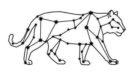 Panther constellation outline, stylized animal silhouette with stars, cosmic predator © Akun