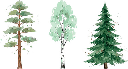 Watercolor Style Green Forest Trees Vector Icon Set Featuring Pine Birch and Spruce Coniferous Plants with Splash Splatter Elements for Nature Designs © mdtaleb