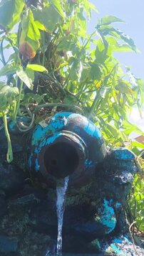 Blue ceramic water fountain pouring stream surrounded by lush green vines and leaves