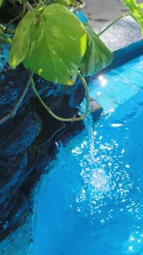 Green leaf hangs over blue water as sunlight sparkles on surface