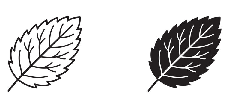 Black and white leaf icons with different line styles and shading  two leaves side by side