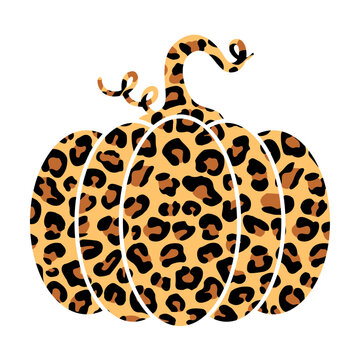 Leopard pumpkin svg cut file. Isolated vector illustration.