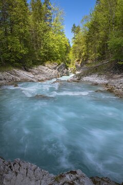 Rissbach stream in spring, Rissbach gorge near Hinterriss, Hinterriss, Bavaria, Germany