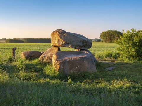 Field landscape with megalithic grave in morning light, dolmen, dolmen grave, Rerik, Mecklenburg-Western Pomerania, Germany