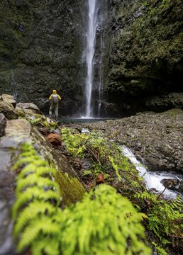 Hikers in front of a waterfall on a steep rock face, Levada do Caldeir&atilde;o Verde, Parque Florestal das Queimadas, Madeira, Portugal