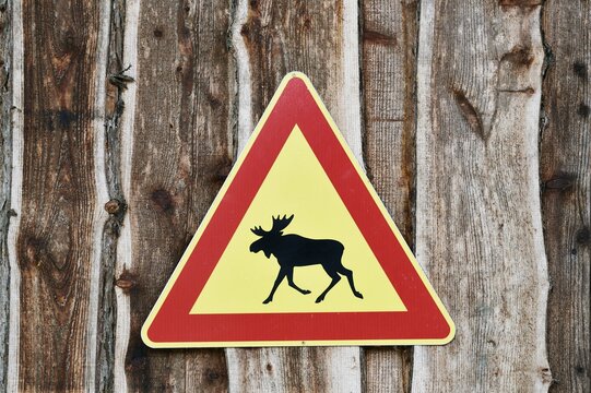 Elk warning sign, Sweden, Scandinavia