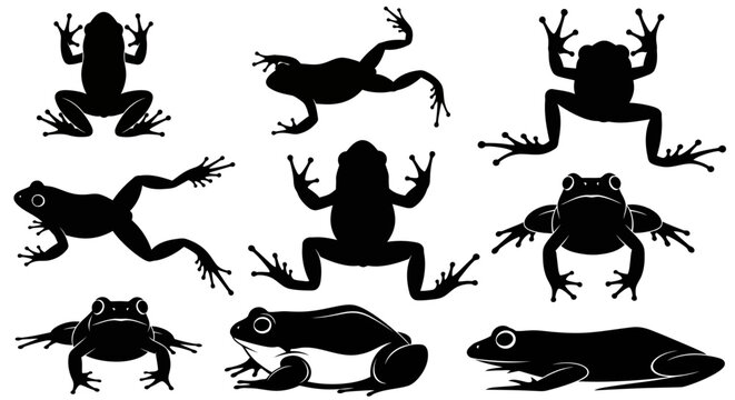 Black frog silhouettes, amphibian icons, vector frogs, animal graphics, wildlife illustrations