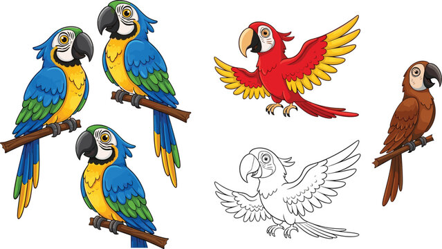 Cute cartoon parrot vector collection featuring blue gold macaws on branches scarlet macaw flying and coloring page