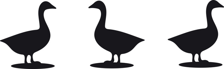 A simple and clean vector illustration showing three identical black silhouettes of geese standing in a row. The geese are facing the same direction presented in profile. This graphic is versatile. © Khairun