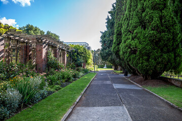 Fototapeta premium Paved garden path with brick pergola and tall cypress trees in Auckland Domain, Auckland, New Zealand, 1 January 2024