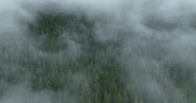 Aerial footage of beautiful forest mountains	