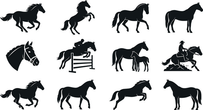 Black Horse Silhouette Vector Illustration Set with Running Jumping Rearing Stallion Equestrian Rider and Foal Icons for Ranch Logo Designs