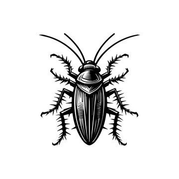 Cockroach Illustration: A detailed, vintage-style illustration of a cockroach, rendered in black and white, showcasing its intricate anatomy and spiky legs.
