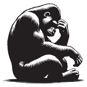gorilla, silverback gorilla, mountain gorilla, western gorilla, eastern gorilla, baby gorilla, gorilla family, giant ape, primate, wildlife, wild animal, jungle, rainforest, African wildlife.