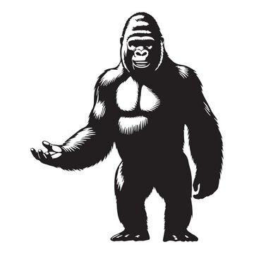 gorilla, silverback gorilla, mountain gorilla, western gorilla, eastern gorilla, baby gorilla, gorilla family, giant ape, primate, wildlife, wild animal, jungle, rainforest, African wildlife.