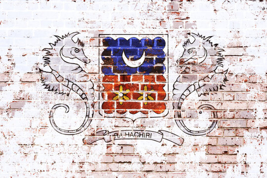 Weathered Mural Depicting the Historic Coat of Arms of Mayotte, Featuring Seahorses, Crescent Moon, and Ylang ylang Flowers on a Rustic Brick Wall