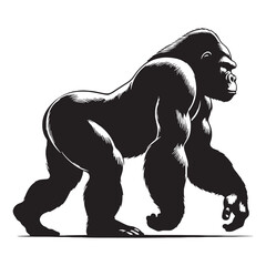 gorilla, silverback gorilla, mountain gorilla, western gorilla, eastern gorilla, baby gorilla, gorilla family, giant ape, primate, wildlife, wild animal, jungle, rainforest, African wildlife. © Maan