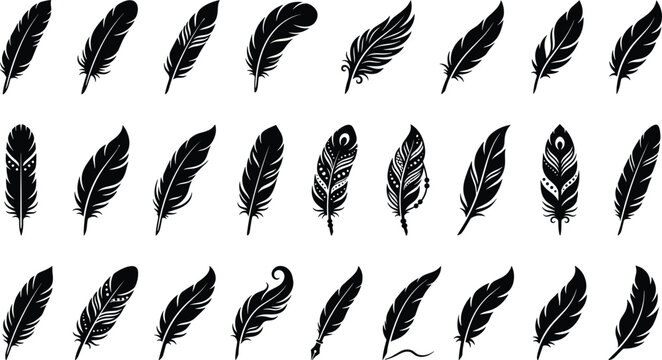 Bird feather silhouette icon set including vintage writing quill and tribal ethnic plumages for design decoration vector