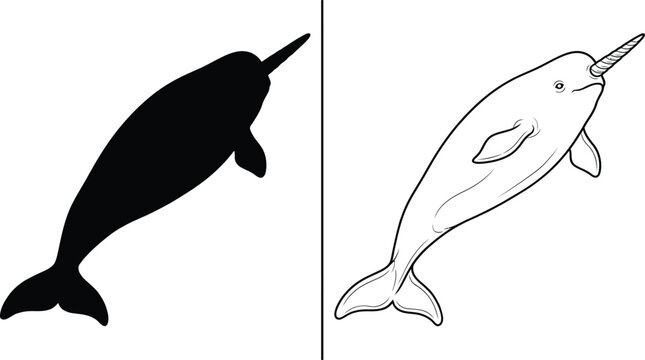 Narwhal Outline Vector Illustration and Minimalist Black Silhouette for Oceanography Design or Children's Book.