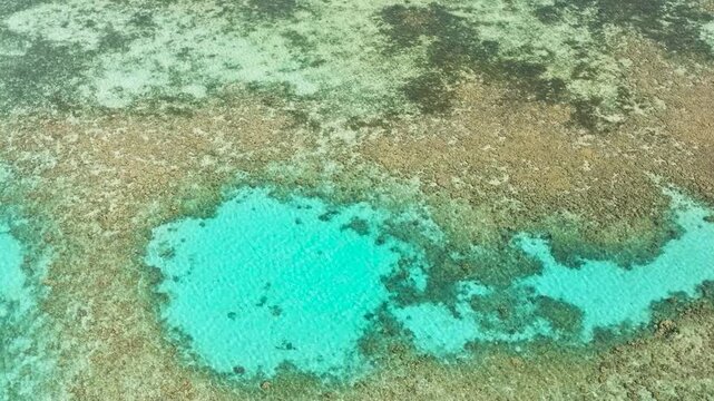 Top view of turquoise water with corals in Coron, Palawan. Philippines.
