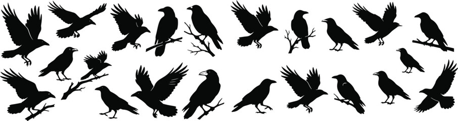 Fototapeta premium Halloween vector bundle black crow silhouettes for spooky designs