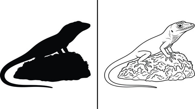 Lizard Black Silhouette and Outline Graphic Standing on a Textured Rock, with an Anole Reptile Design Concept.