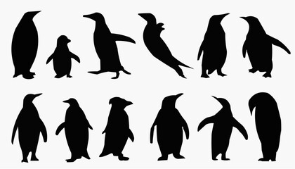 penguin silhouettes vector © Arhan