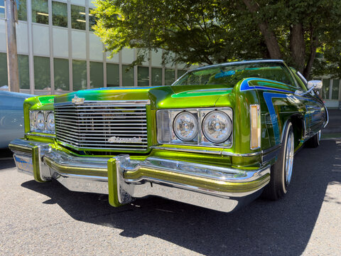 Green 1973 Chevrolet Caprice Classic Lowrider At Show